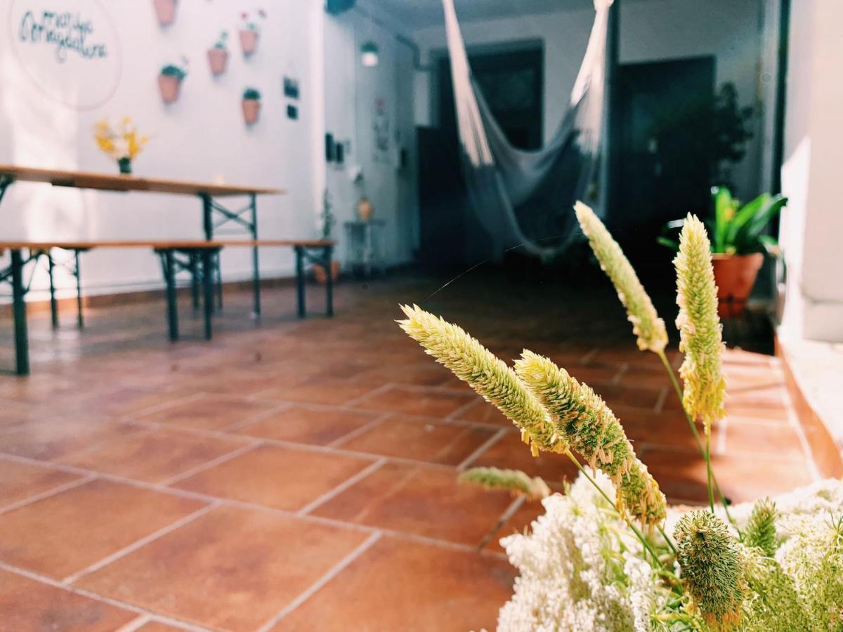 Maria Magdalena - Room 10 Малага Экстерьер фото
